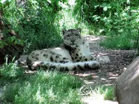 Zoo al Maglio - Neggio - Klicken Sie, um das Bild 1 in einer Lightbox vergrössert darzustellen