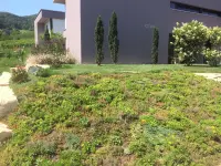 Jürg Zulauf Gartenbau
