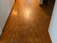 Reinigung und Renovation Antohi