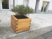 Taiabó Sagl