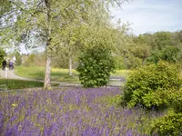 Heime Uster Pflegezentrum Dietenrain – Cliquez pour agrandir l’image 3 dans une Lightbox