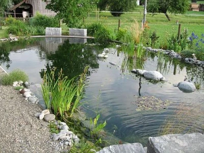 Schwimmteich Garten