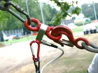 Arboristes-Conseils Sàrl - Klicken Sie, um das Bild 7 in einer Lightbox vergrössert darzustellen