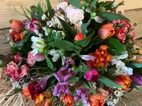 Fleurs d'Elfes