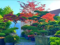 Gardenking GmbH