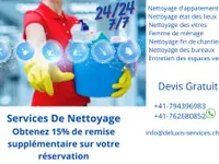 Deluxis Services