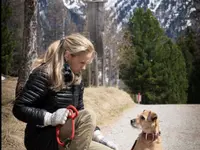 4-Pfoten Coaching Nicole Pirola