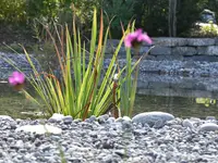 Gartenbau Schlup AG