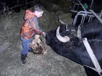 Ferme des Trontières Randogne