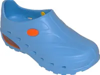 Schutz Sagl