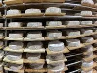Azienda Agricola Ai Pianoi