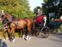 Stall Vogelsang