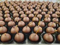 L'Atelier Chocolat Sàrl
