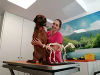 dr. Mazzi Michele
