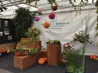 Blumen Zweerus