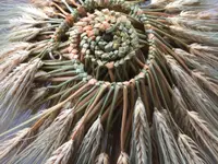 Fiore di Fiori