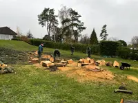 DULLA PARCS ET JARDINS SA