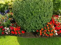 Bont Gartenbau und Gartenpflege AG