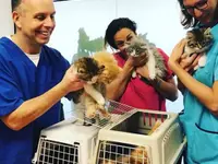 dr. Mazzi Michele