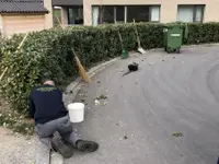 Aemmer Räumungen