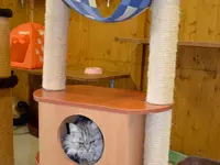 Tierferienheim Gredig
