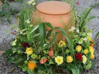 Blumen Pasadena