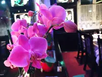 Tai Yien