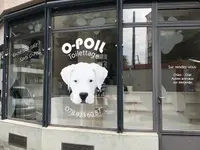 O-Poil
