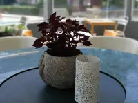 Keyann Café Libanais