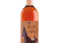 Badan Vins