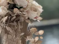 aloee Creativer Blumenschmuck GmbH