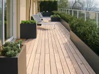 Meier AG