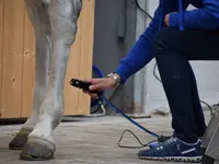 Equine Sports Medicine Services GmbH