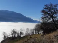 Rando Nature
