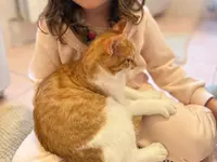 Studio Veterinario Ghiringhelli