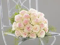 Blumen Fleischli