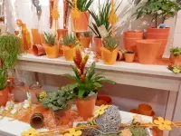 Fleur-antic Blumengeschäft