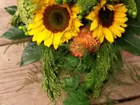 Blumen Haueter