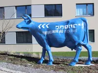 Tierklinik Au AG