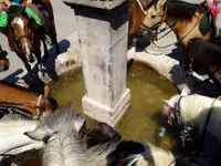 Ranch Blackyland - Manège et cours d'équitation - Genève - Bernex