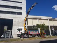 Fries Transporte Zug