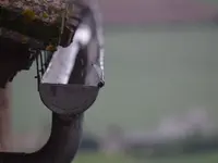 Elios Genini Lattoniere Sagl