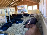 Gast & Landwirtschaft Guldenthal