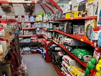 Qua la Zampa di Alessia Milani Termini
