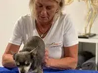 anima activa Hundephysiotherapie