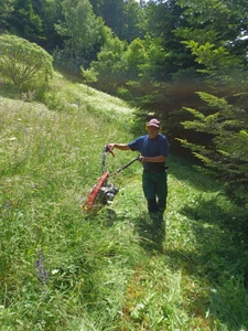 Fauchage des prés