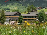 Alpenrose-Stump's Alpenrose