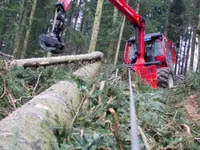 Savary Marc Sàrl - Klicken Sie, um das Bild 2 in einer Lightbox vergrössert darzustellen