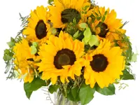Blumen Schweizer