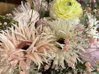 vivus Blumenboutique GmbH